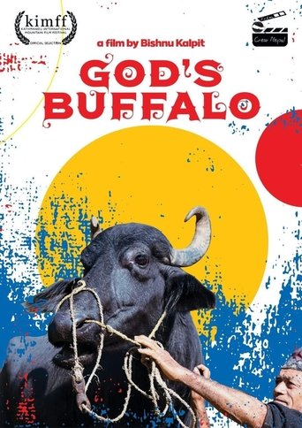 Poster of God's Buffalo