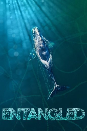 Entangled Poster of Entangled