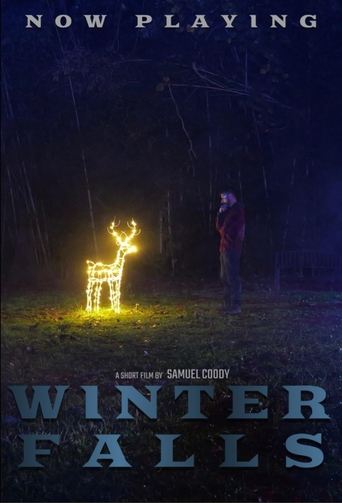 Poster of Winter Falls