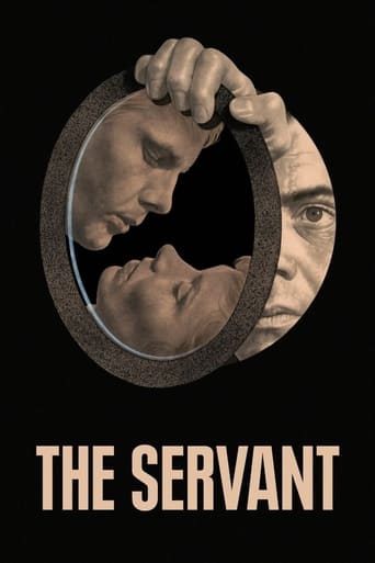 Poster of The Servant