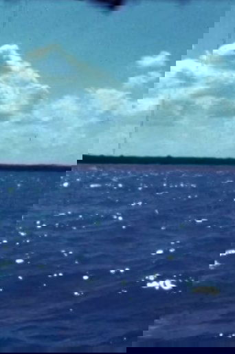 Poster of Woman Water Huron Goodbye