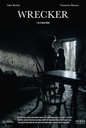 Poster of Wrecker