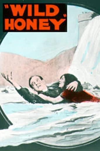 Poster of Wild Honey