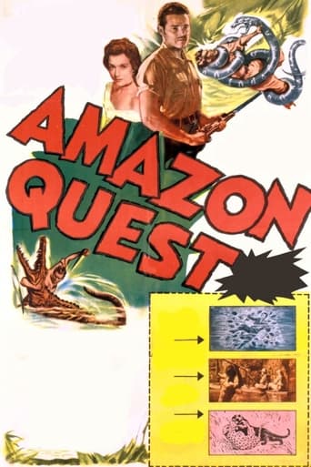 Poster of Amazon Quest