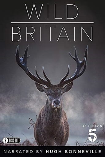 Poster of Wild Britain