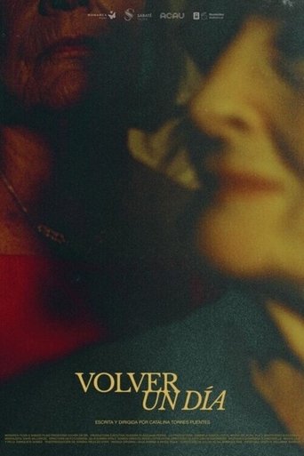 Poster of Volver un día