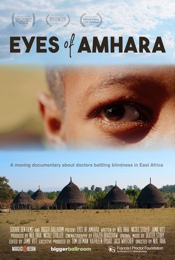 Poster of Eyes of Amhara