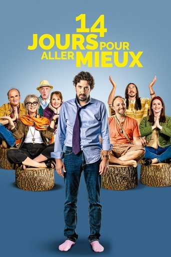 Poster of 14 Days to Feel Better