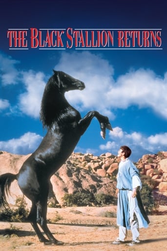 Poster of The Black Stallion Returns
