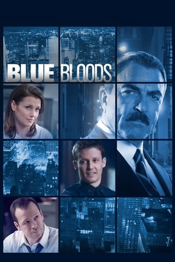 Portrait for Blue Bloods - Season 6