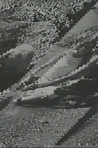 Poster of The Brink