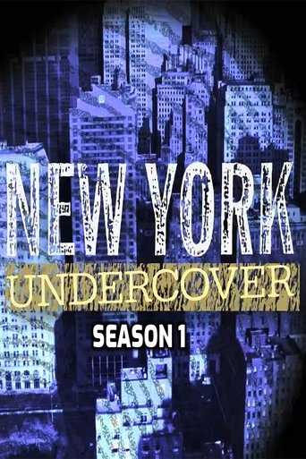 Portrait for New York Undercover - Season 1
