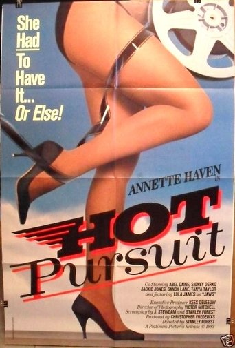 Hot Pursuit Poster of Hot Pursuit