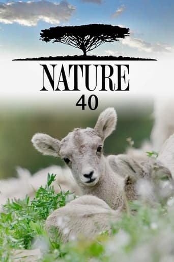 Portrait for Nature - Season 40
