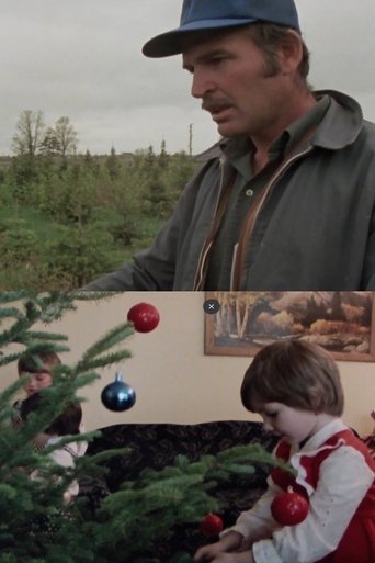 Poster of Arbres de Noël à vendre