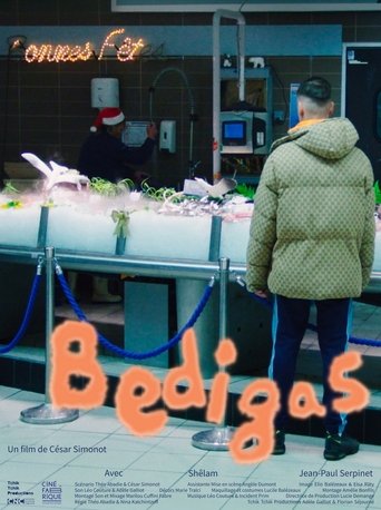 Poster of Bedigas