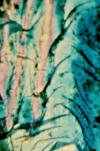In Diep Hust Poster of In Diep Hust