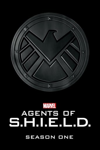 Portrait for Marvel's Agents of S.H.I.E.L.D. - Season 1