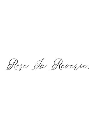 Rose In Reverie Poster of Rose In Reverie