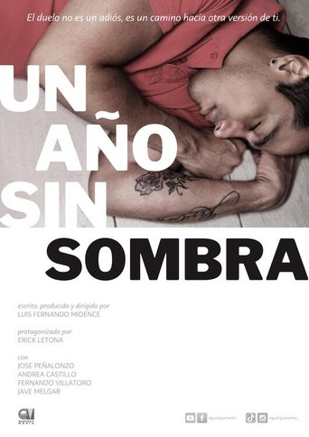 Poster of A Year Without Shadow
