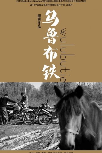 Poster of Lost Mountain