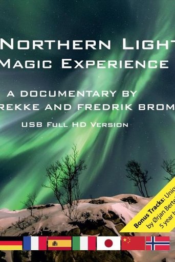Poster of Northern Lights: A Magic Experience