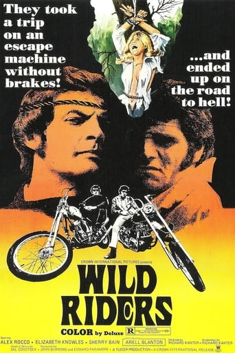 Poster of Wild Riders