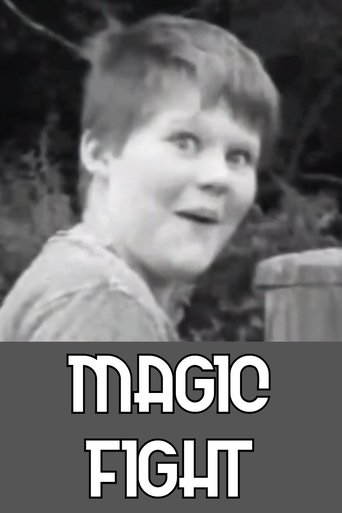 Poster of Magic Fight