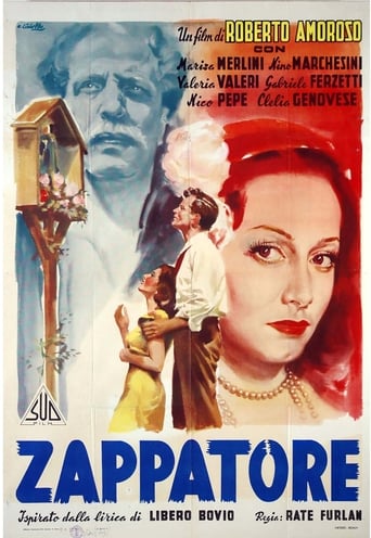 Poster of Lo zappatore