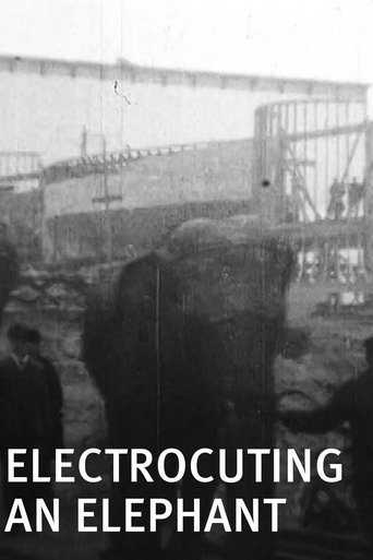 Poster of Electrocuting an Elephant