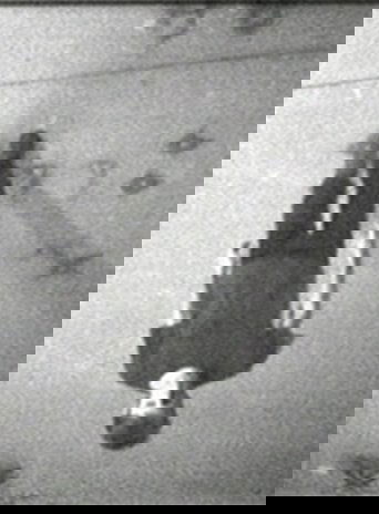 Poster of Stamping in the Studio