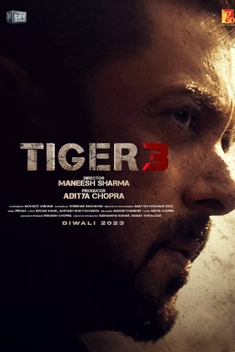 Poster of Tiger 3
