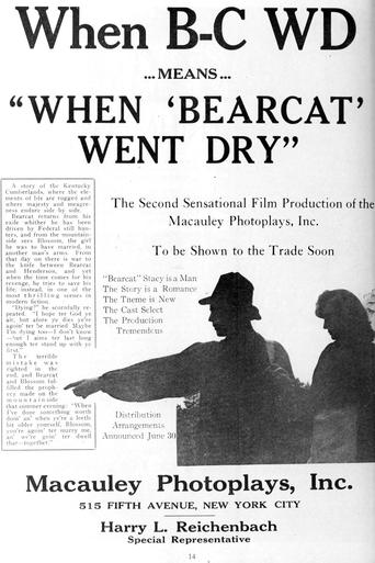 Poster of When Bearcat Went Dry