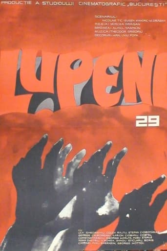 Poster of Lupeni 29