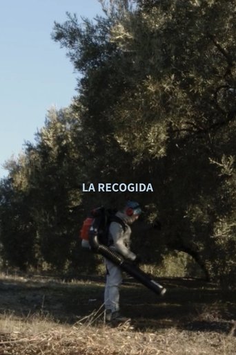 Poster of Olive Harvest