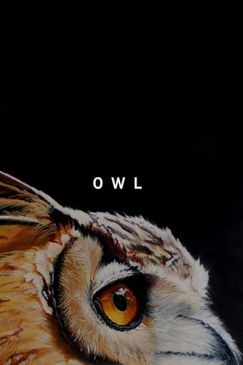 Poster of Owl