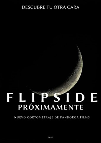 Poster of Flipside