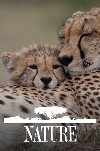 Poster of Nature
