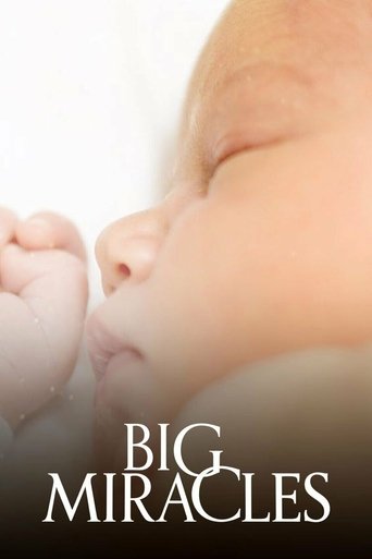 Poster of Big Miracles