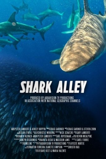 Shark Alley Poster of Shark Alley
