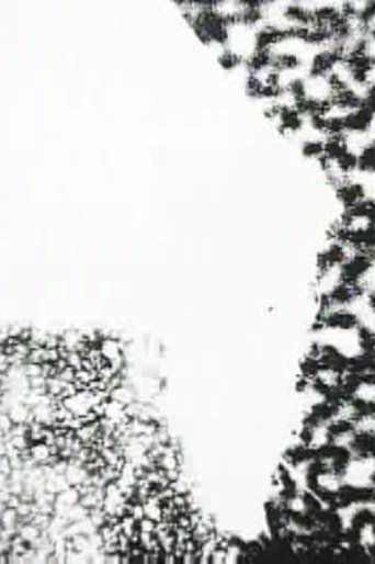 Poster of Following the Line of the Web