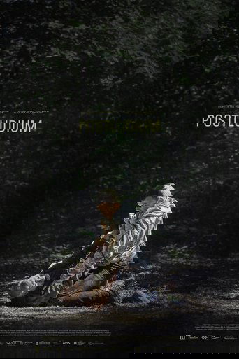 Poster of Postludium
