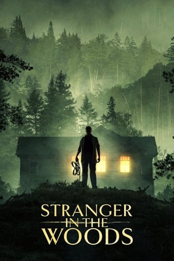 Poster of Stranger in the Woods