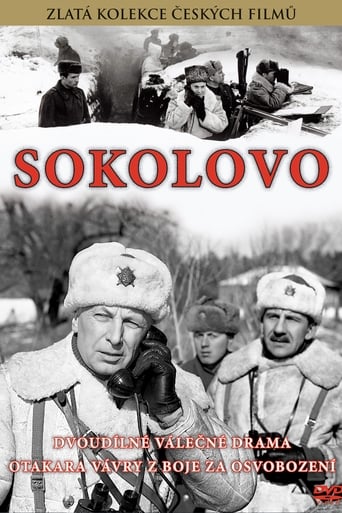 Poster of Sokolovo