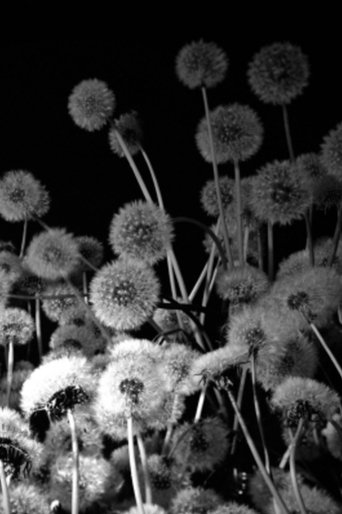 Dark Garden Poster of Dark Garden
