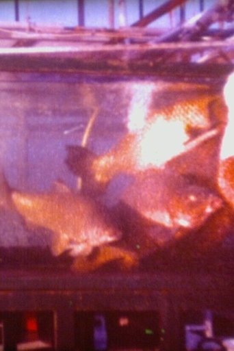 Poster of Schätze aus dem Meer - Unentbehrlicher Fisch