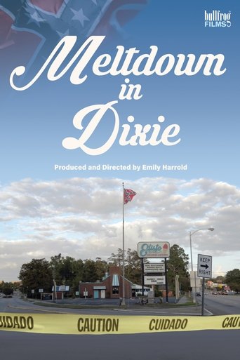 Meltdown in Dixie Poster of Meltdown in Dixie