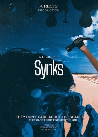 Poster of Synks