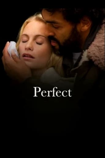 Poster of Perfect