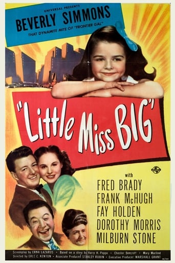 Poster of Little Miss Big